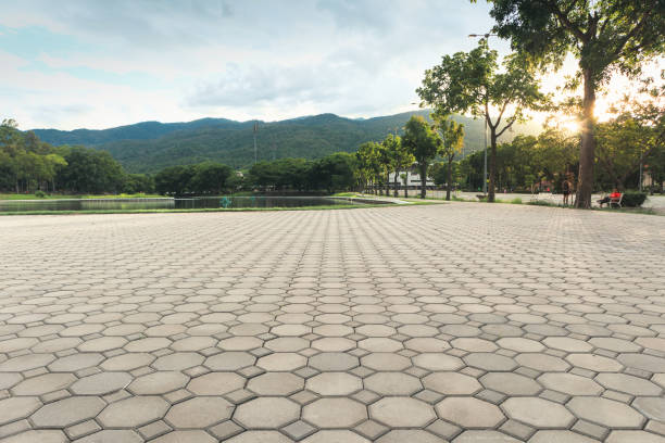 Best Concrete Paver Driveway  in Tinley Park, IL